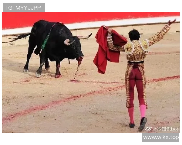 你不知道的公牛：十大冷知识大揭秘